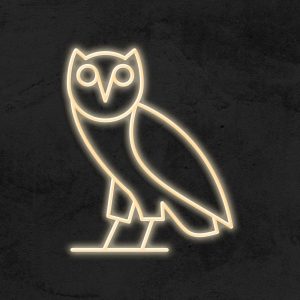 OVO Drake - Néon LED