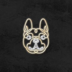Chien - Neon Flex