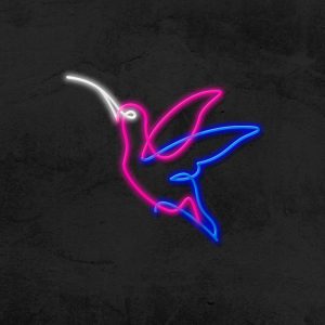 Colibris - Neon Flex