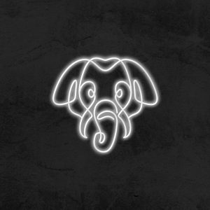 Eléphant - Neon Flex