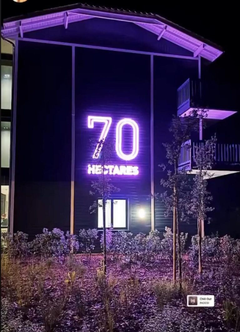 Néon INSTALL HECTARES outdoor sofr pink neon sign